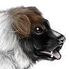 custom by #24987: Look out here comes a playful Akita puppy! <br /> (Drawn by:#12538) custom by #24987: Look out here comes a playful Akita puppy! <br /> (Drawn by:#12538)